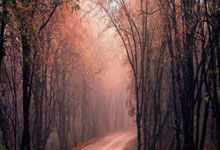 不锈钢检修口图片，不锈钢修理